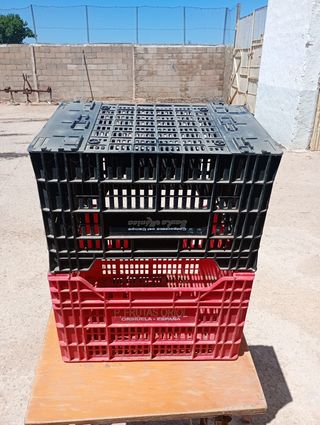 Cajas de plástico fruta/ajos