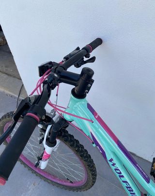Bicicleta niña