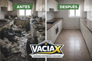 Vaciado y limpieza extrema de pisos y casas