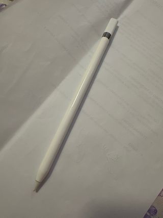 Pencil apple a 1603