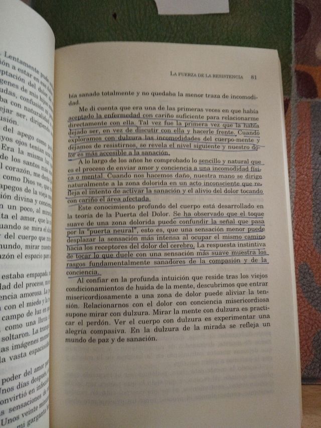 Sanar En La Vida Y En La Muerte