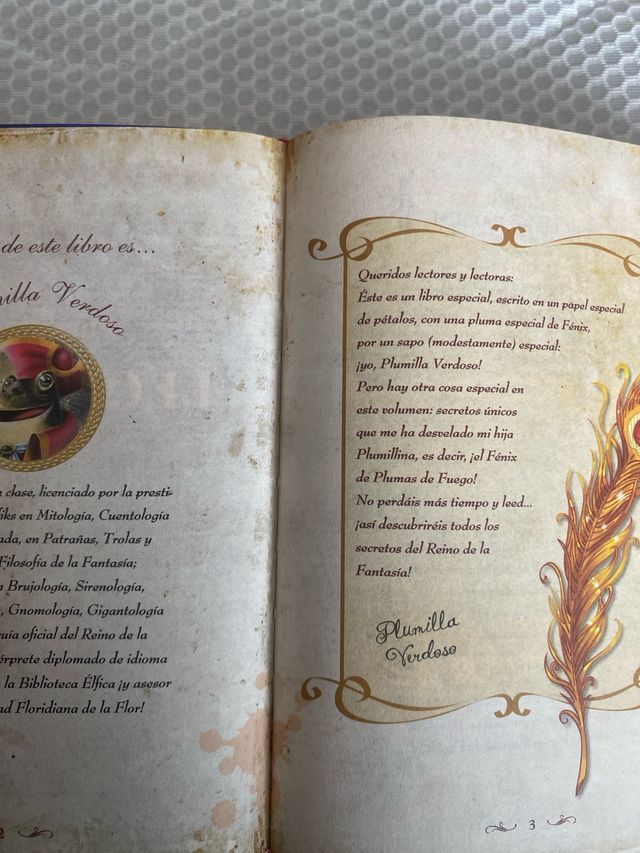 El gran libro del Reino de la Fantasía: ¡Descub...