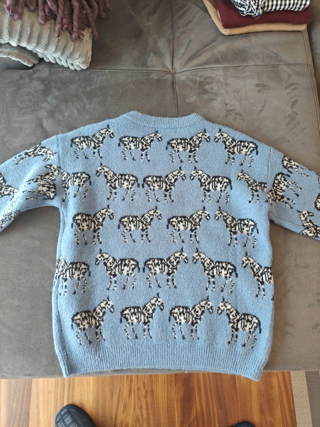 Jersey cebra Daphne - Azul - Talla 4