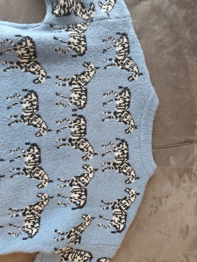 Jersey cebra Daphne - Azul - Talla 4