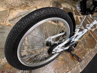 WeeRide Co-Pilot: Remolque Bicicleta