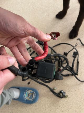 Cableado Honda SH 125