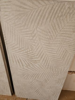 Azulejos porcelánicos gris claro 120x60cm