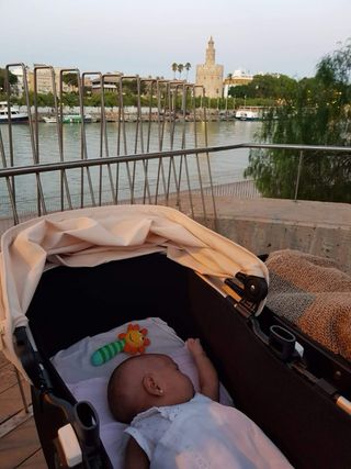 Bugaboo Donkey Gebr. 2018