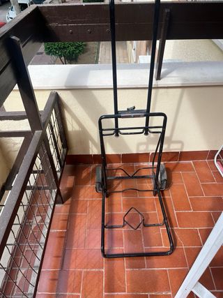 Carro de carga plegable