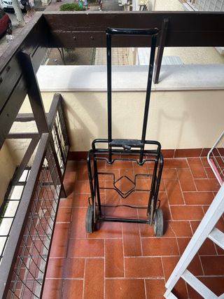 Carro de carga plegable