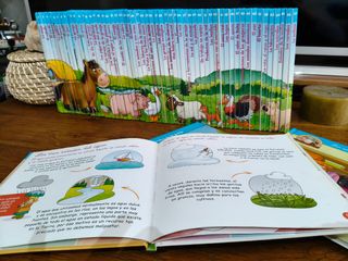 El gato, la gata y el gatito