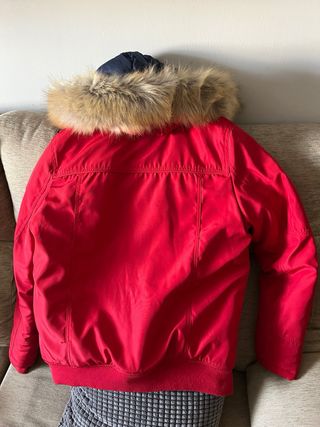 Chaqueta cazadora original tommy hilfiger