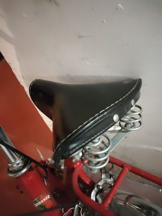 Bicicleta plegable vintage