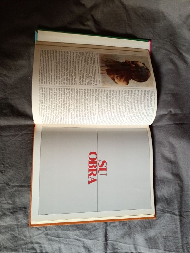 Los Genios de la Pintura Española - Rosales