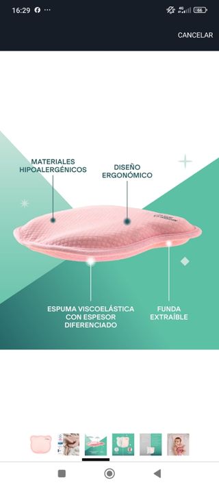 Cojín plagiocefalia Koala Babycare