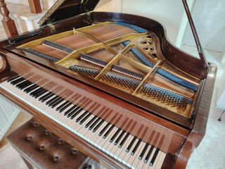 Piano de cola Lipp & Sohn