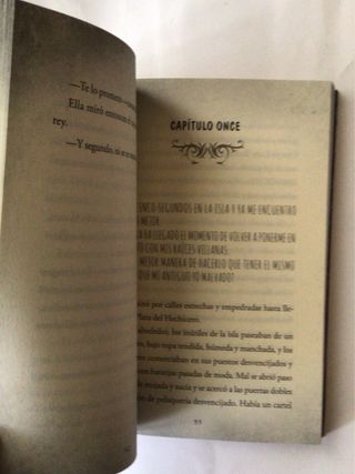 Los Descendientes 2. La novela