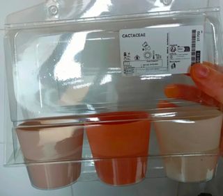 Macetero cactus o portamandos