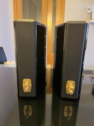 Sonus Faber Concertino Domus Altavoces