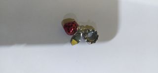 Charm de plata