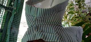 Pantalón corto mujer rayas Stradivarius  34