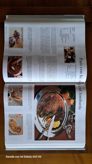 maestros de la cocina europea, los.