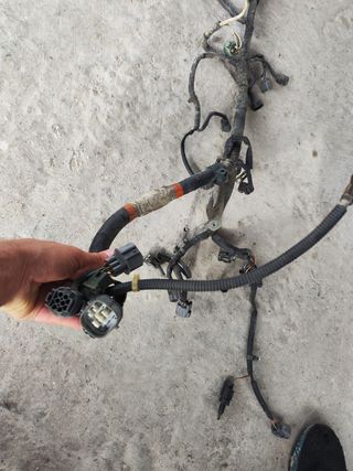 Cableado motor D16W4 OBD1