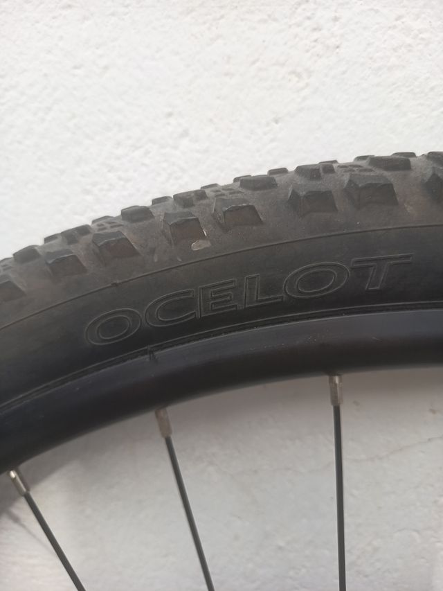 Rueda bici 29.5" disco