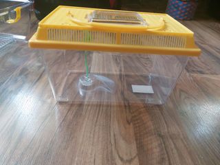 Terrario Tortuguero - Jaula Transparente