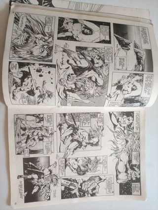 LA ESPADA SALVAJE DE CONAN