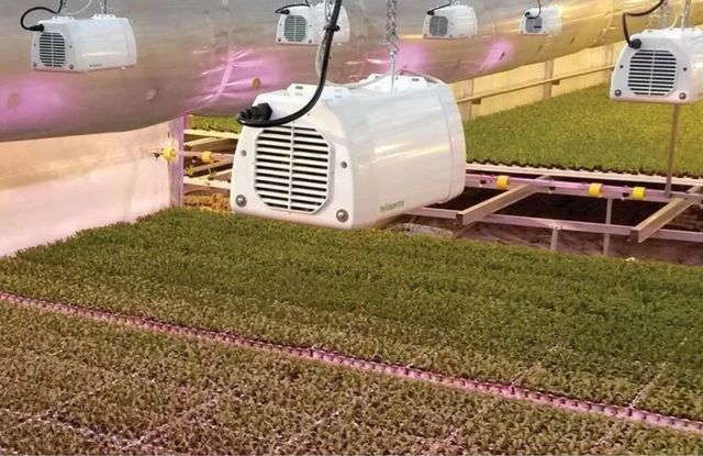 Heliospectra LX601C autoCultivo LED ¡OCASION!