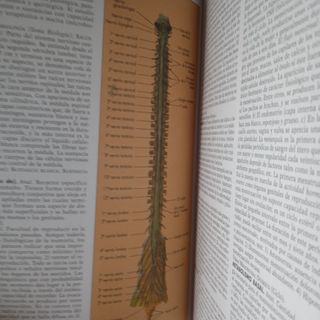 Gran enciclopedia universal