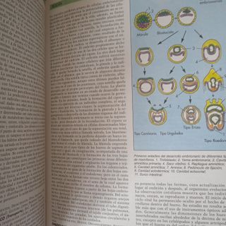 Gran enciclopedia universal
