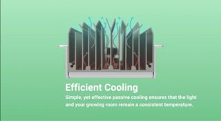 Heliospectra Mitra LED - Cultivo