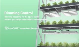 Heliospectra Mitra LED - Cultivo