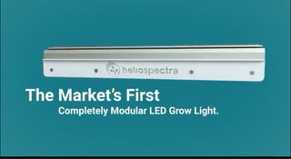 Heliospectra Mitra LED - Cultivo