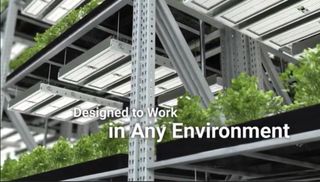 Heliospectra Mitra LED - Cultivo