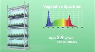 Heliospectra Mitra LED - Cultivo