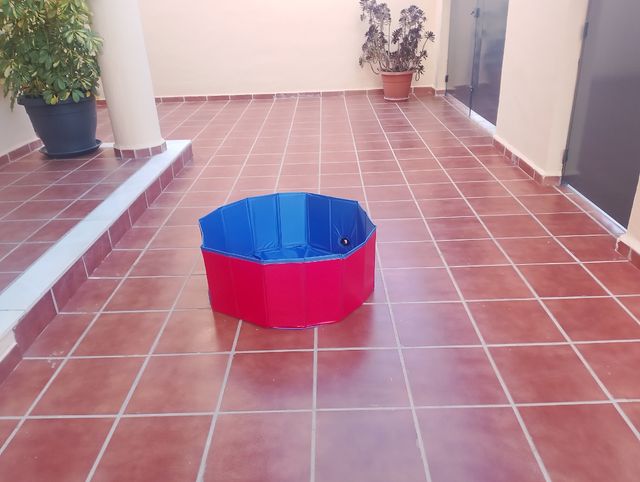 Piscina para bebes o mascotas