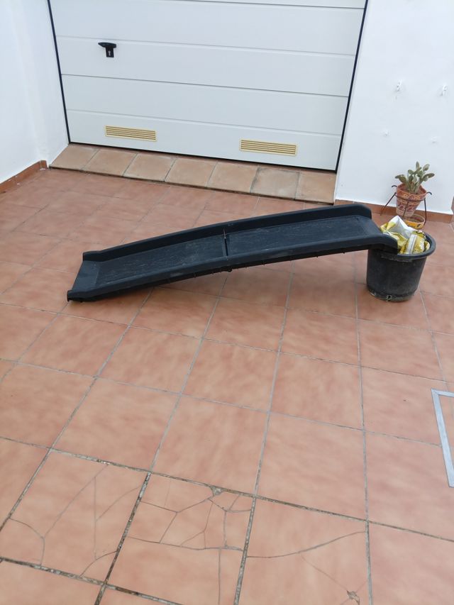 Rampa per cani.
