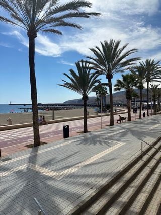 Alquiler de Apartamento segunda línea Zapillo