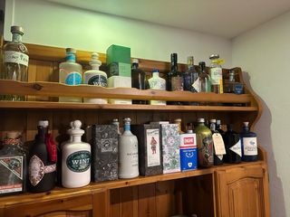 Bottiglie Gin Vuote - Collezione