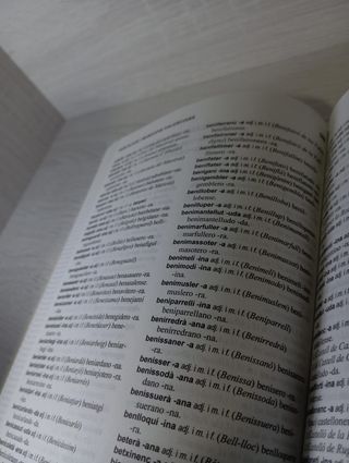 Diccionari escolar catalán castellano