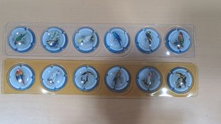 12 placas Cava - Loros Coleccion