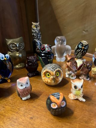 16 Gufi Decorativi Collezione