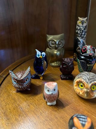 16 Gufi Decorativi Collezione