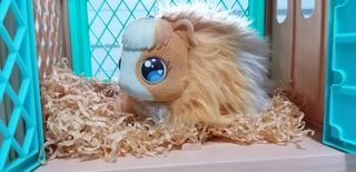 Little Live Pets Cobaya - Mama surprise