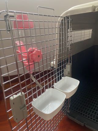 Transportín IATA para perros