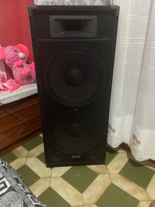 Altavoz Skytec - 2 vías