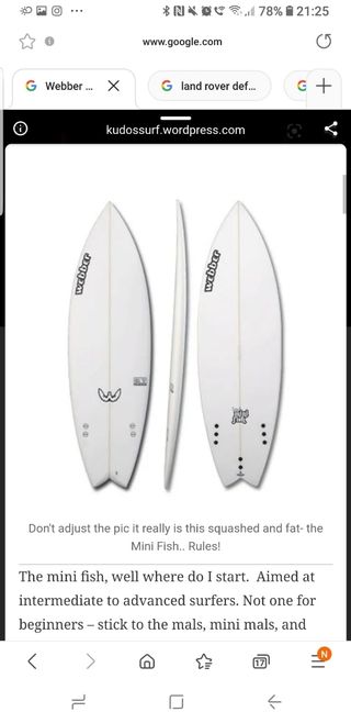 Tabla surf Twin Fin Webber